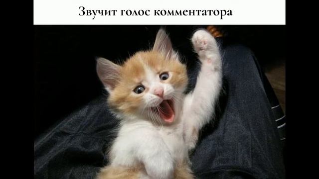 Приколы с животными самые смешные 2018 2019 - Смешное видео МатроскинТВ смотреть онлайн