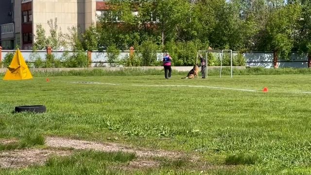 1 Отл. КЧК Team Bulle Hof FAIER +++ №8. КЧК УФА 18 мая`25 Ю.Овсянникова Моно нем.овчарок