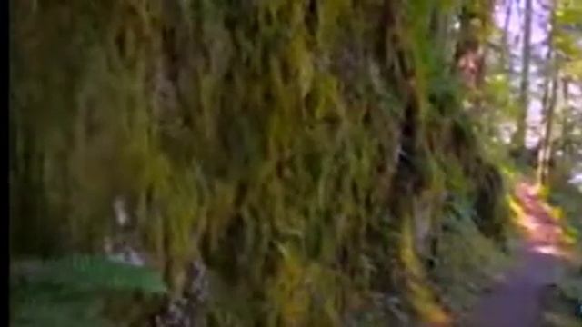 ВЕЛИКАЯ СИЛА ЛЮБВИ смотреть онлайн