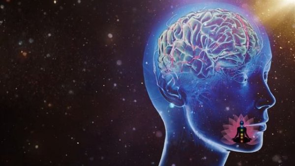 ПАМЯТЬ: Чистые Матрицы петра Гаряева Без музыки скачать оналйн 2025 Обновление матриц СОФТ РАДИо