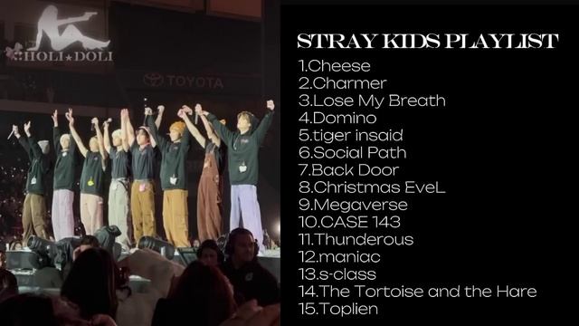STRAY KIDS PLAYLIST🙇🏼♀️ сборник песен❕ смотреть онлайн