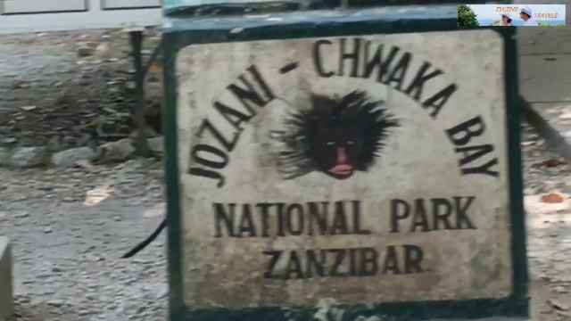 Zanzibar (Занзибар) 2025 - Раскрыты секреты Красных Колобусо? смотреть онлайн
