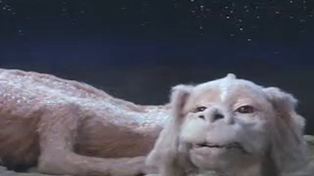 Копия видео Фалкор: Я люблю детей. - На завтрак? -falcorbreakfast смотреть онлайн