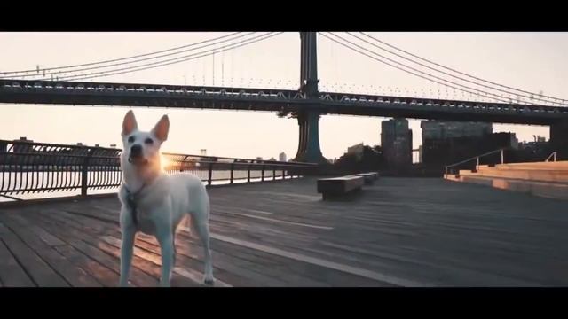 Мотивационное видео . Мотивация на хорошую жизнь смотреть онлайн