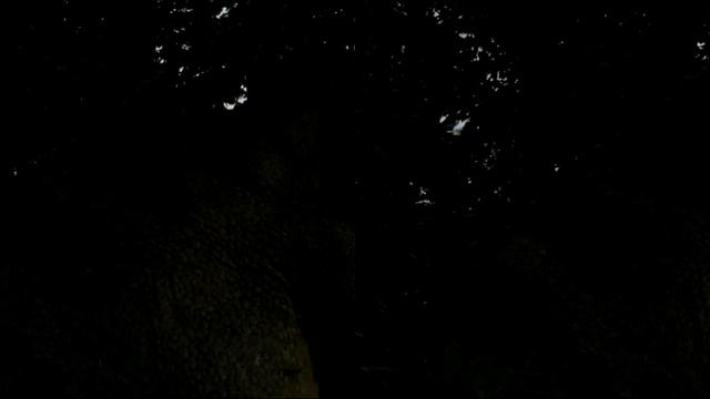 Легенда о динозаврах 1 часть в 3D смотреть онлайн