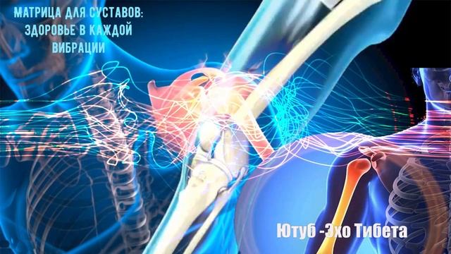 Матрица Гаряева для суставов – восстановление при ар?