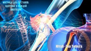 Матрица Гаряева для суставов – восстановление при ар?