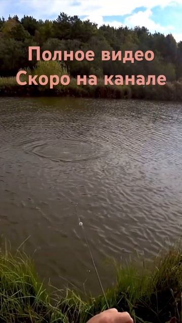 Щука монстр на кастинговую сеть смотреть онлайн