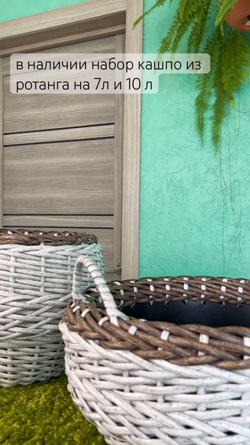 Кашпо из ротанга, цвет белая береза+ орех #кашпоизрота? смотреть онлайн
