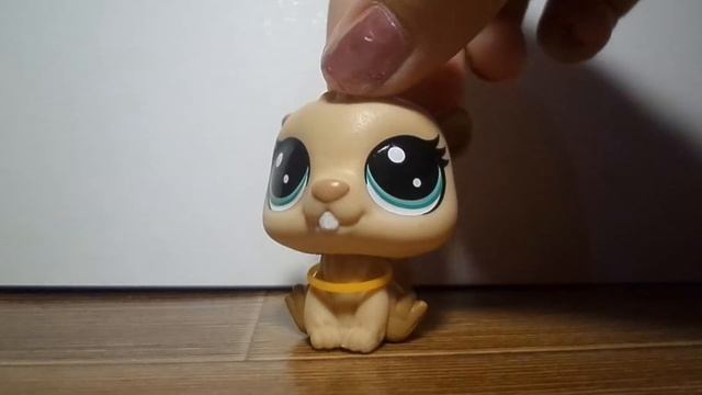 Littlest Pet Shop: Не цените людей по внешности (Короткий фильм) смотреть онлайн