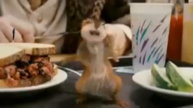 Красавчик Пип, "Зачарованная" смотреть онлайн