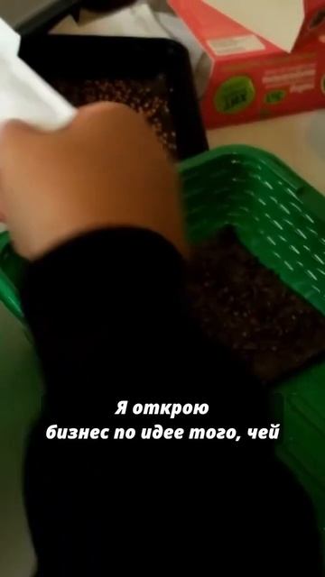 Какой бизнес открыть #бизнес #бизнесснуля #бизнесидеи смотреть онлайн