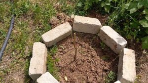 ПОСАДИЛИ ГРАНАТ/ ПРИЕХАЛИ ПОЛИВАТЬ / ЖАРА