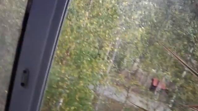 Мой кот любит хип хоп песня смотреть онлайн