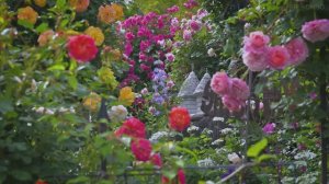 САДЫ ЯПОНИИ  ЧАСТНАЯ РЕЗИДЕНЦИЯ Чудесный Kawata Rose Garden