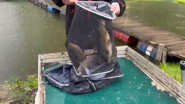 31.05.25 г. РК Волна смотреть онлайн