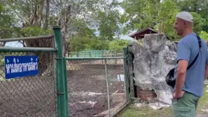 Белый павлин и сиамские крокодилы: Удивительное приключение в зоопарке!, ч.2 смотреть онлайн