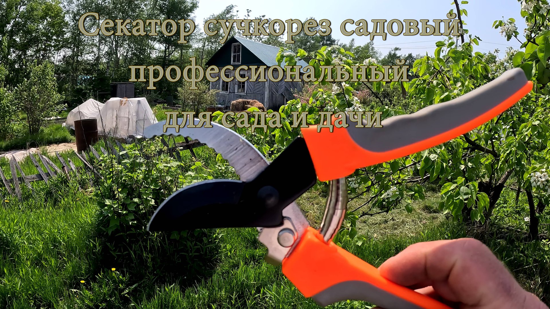 Секатор сучкорез садовый профессиональный для сада и дачи. смотреть онлайн
