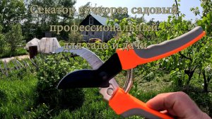 Секатор сучкорез садовый профессиональный  для сада и дачи.