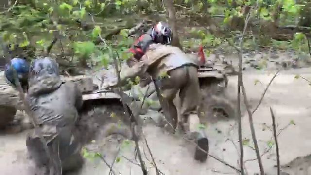 Дорога домой 2 смотреть онлайн