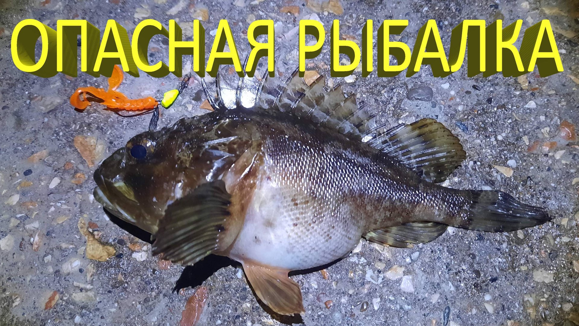 🔥 ОПАСНАЯ РЫБАЛКА на Черном море в Крыму. Как снять с крючка ядовитого морского ерша скорпену? 🔥