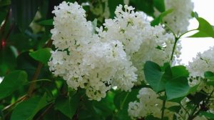 С Днем рождения меня!