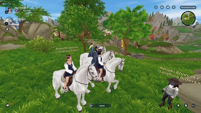 ˗ˏˋ ПОКУПКА ФРИЗА + ОБЗОР | обновление | Star Stable Online ˎˊ˗