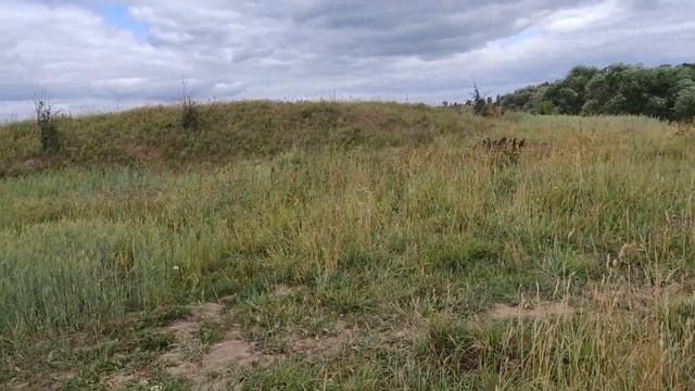 #nature #flowers #беларусь #красота  #green