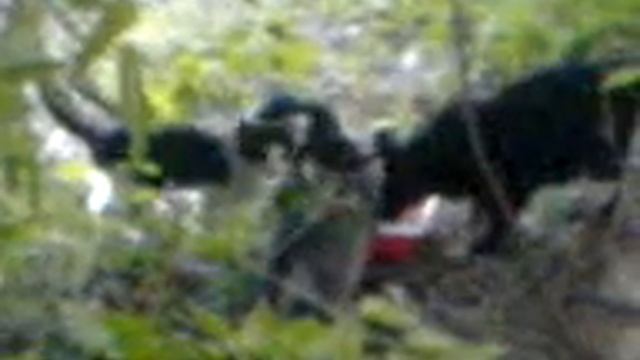 Пока станица спит 56 серия (2013) смотреть онлайн