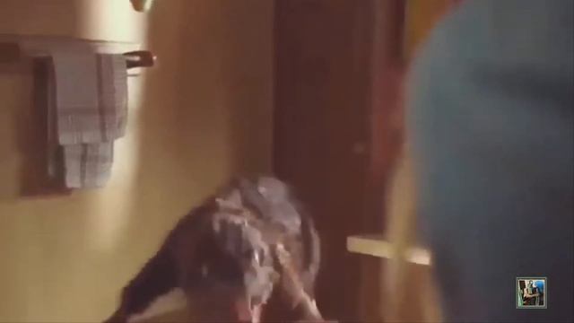 Армагеддец или во всем виноват Олень ! 18+ смотреть онлайн