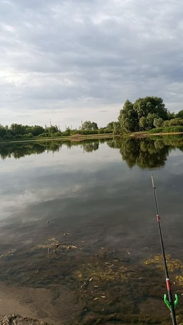 31.05.2025 смотреть онлайн