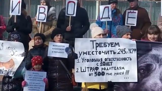Кричалки митингующих смотреть онлайн