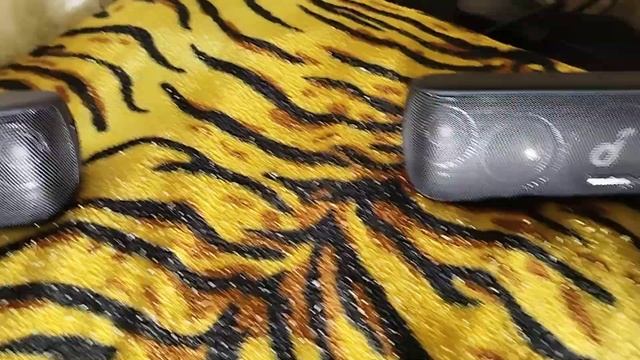 Anker Souncore Motion Plus играют в стерео паре