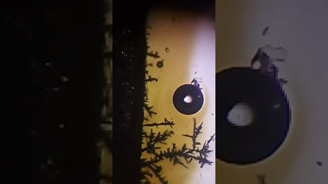 Реакция меди с _неправильным_ нитратом серебра смотреть онлайн