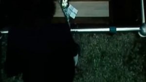 Эффект бабочки  The Butterfly Effect