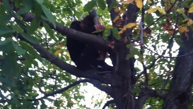 Бумер 3 смотреть онлайн