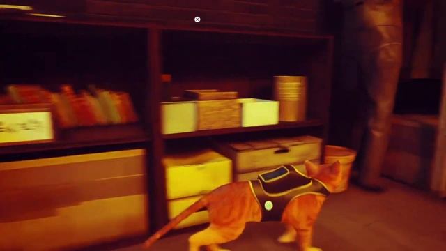 Stray. Прохождение на русском. Стрей. Полное прохождение и обзор игры. часть 5. смотреть онлайн