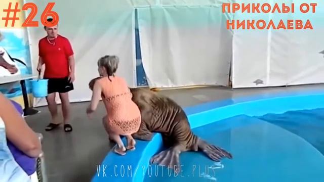 Приколы за апрель 2018 #26 Лучшая подборка приколов 2018, мега жесть, ржач до слёз смотреть онлайн