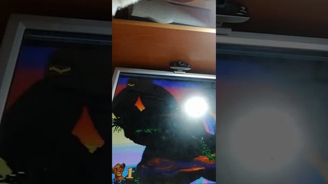 Прохождение игры Lion King Sega #1 смотреть онлайн