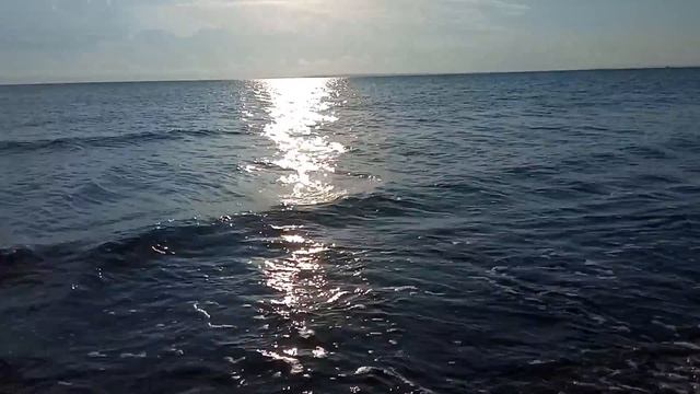 🌅 Тихий шелест волн на рассвете | Утреннее море для души 🌊 смотреть онлайн
