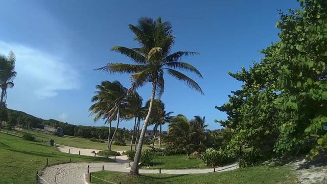 Sunset Tulum HD | Закат в Тулуме } prianikov.ru смотреть онлайн