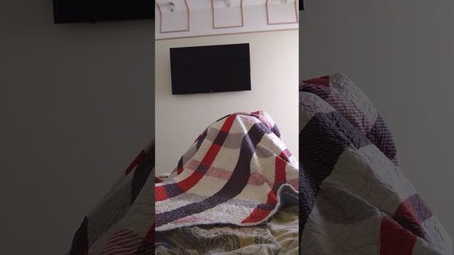 огромная грыжа смотреть онлайн