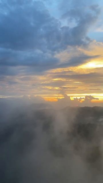 Nelligala international buddhist center смотреть онлайн