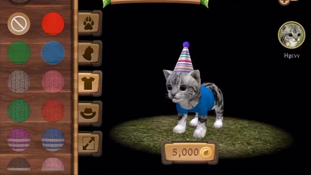 simcat / сим кошки смотреть онлайн