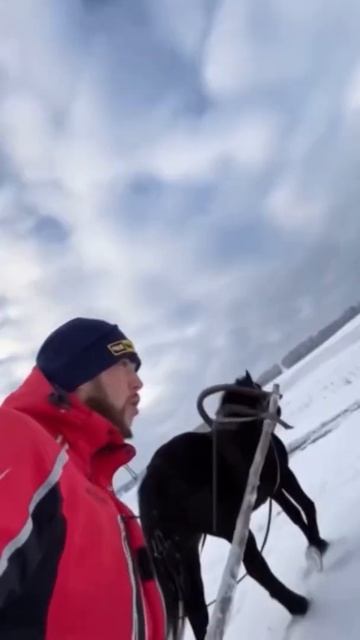 Ментальная связь смотреть онлайн