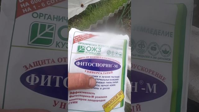 мульчирование высоких грядок