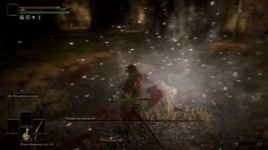 Один из лучших билдов через ловкость в Elden Ring