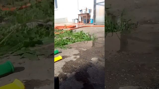 НАДУЛИ 5 ШАРИКОВ ВОДОЙ!(Один лопнул:)