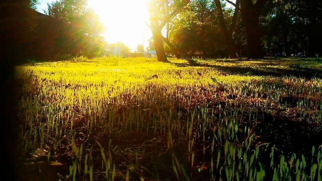 Выжить Любой Ценой смотреть онлайн