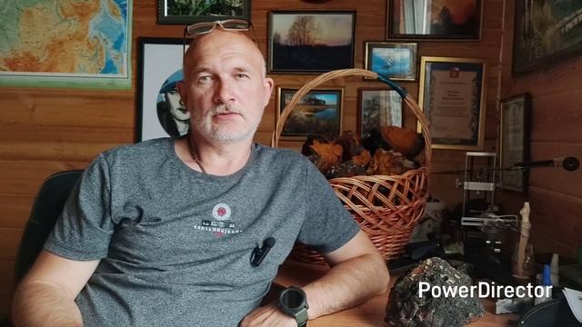 Чага, ее полезные свойства